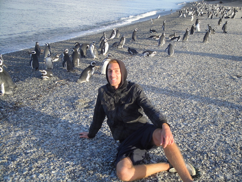 Pinguininsel Ushuaia