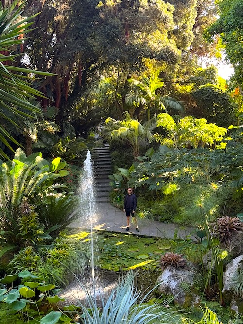 IMG_4390 1 Tag Ischia Route